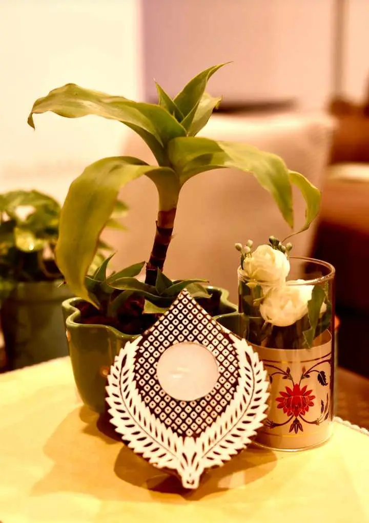 WhatsApp Image 2025-09-10 at 18.41.23 (2).webp